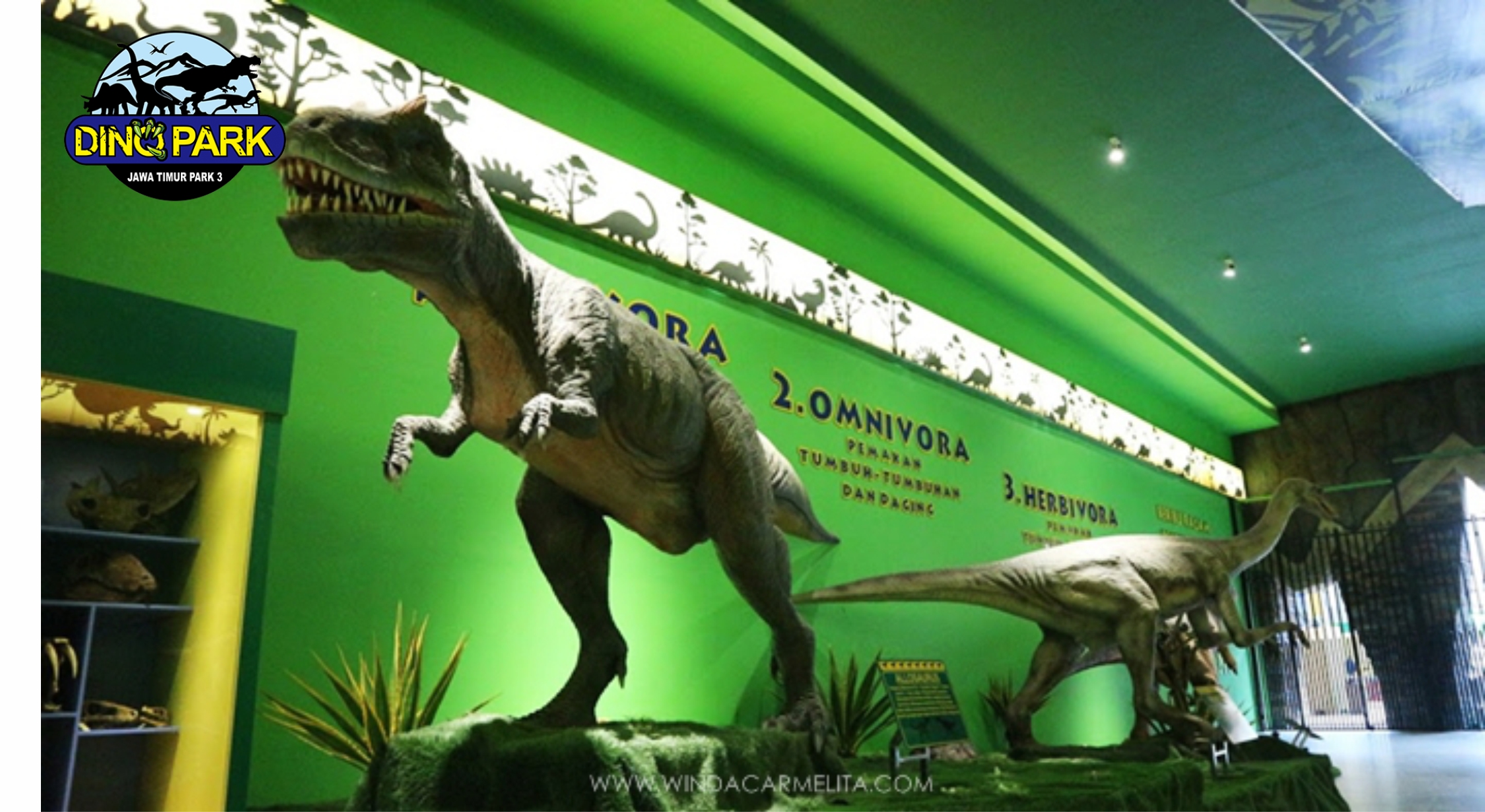 Museum Dino