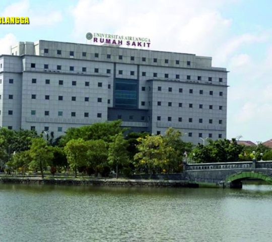 Rumah Sakit Universitas Airlangga