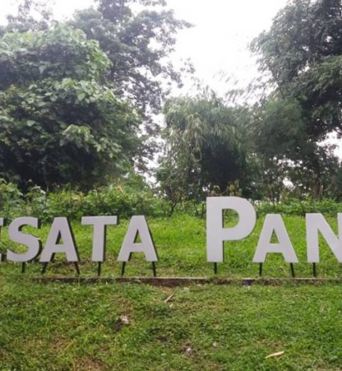 Rekomendasi Destinasi Agrowisata di Kota Malang, Dijamin Seru!