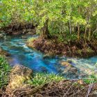 Berkunjung ke Gili Iyang, Pulau Indonesia dengan Kadar Oksigen Terbaik Kedua di Dunia